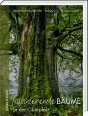 Cover von Faszinierende Bäume in der Oberpfalz