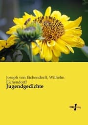 Cover von Jugendgedichte