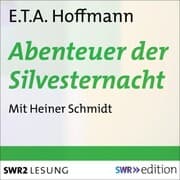Cover von Abenteuer der Silvesternacht