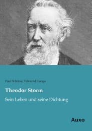 Cover von Theodor Storm