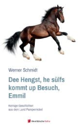 Cover von Dee Hengst, he sülfs kommt up Besuch, Emmil