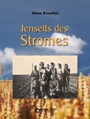 Cover von Jenseits des Stromes