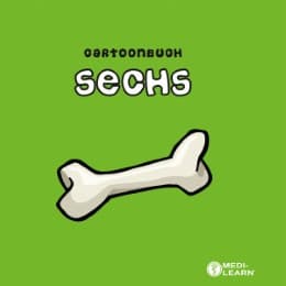 Cover von Cartoonbuch 'sechs'
