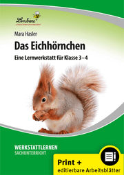 Cover von Das Eichhörnchen