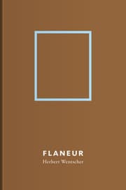 Cover von Flaneur - Herbert Wentscher