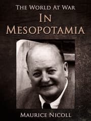 Cover von In Mesopotamia