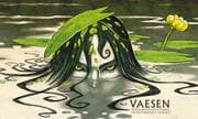 Cover von Vaesen Spielleitungsschirm