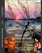 Cover von Hinter dem dünnen Schleier