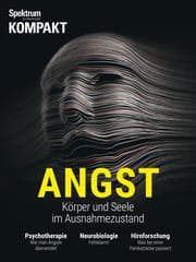 Cover von Spektrum Kompakt - Angst