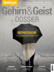 Cover von Gehirn&Geist Dossier - Depression