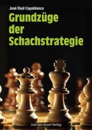 Cover von Grundzüge der Schachstrategie