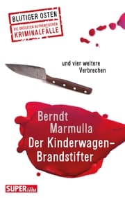 Cover von Der Kinderwagen-Brandstifter