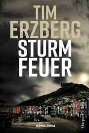 Cover von Sturmfeuer