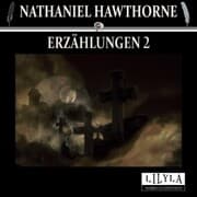 Cover von Erzählungen 2