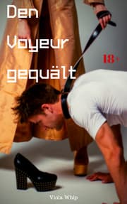 Cover von Den Voyeur gequält