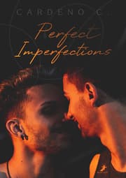 Cover von Perfect Imperfections
