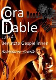 Cover von Lust 4 - Benutzte Gespielinnen