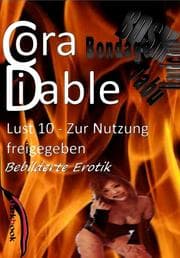 Cover von Lust 10 - Zur Nutzung freigegeben
