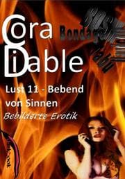 Cover von Lust 11 - Bebend von Sinnen