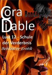 Cover von Lust 12 - Schule der Verderbnis