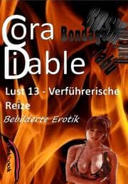 Cover von Lust 13 - Verführerische Reize
