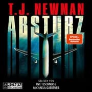 Cover von Absturz