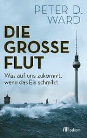 Cover von Die große Flut