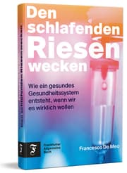 Cover von Den schlafenden Riesen wecken
