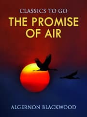Cover von The Promise of Air