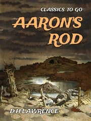 Cover von Aaron's Rod