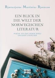 Cover von Ein Blick in die Welt der norwegischen Literatur