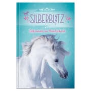 Cover von Silberblitz - Geheimnis im Mondschein