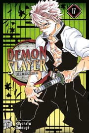 Cover von Demon Slayer 17