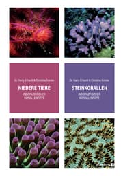 Cover von Steinkorallen/Niedere Tiere indopazifischer Korallenriffe