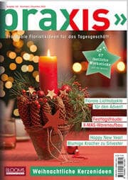 Cover von PRAXIS Nr. 120