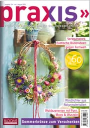 Cover von PRAXIS Nr. 124