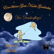 Cover von Der Drachenflieger