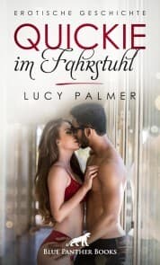 Cover von Quickie im Fahrstuhl , Erotische Geschichte