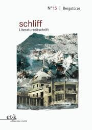 Cover von Bergstürze
