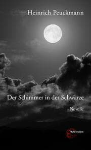 Cover von Der Schimmer in der Schwärze