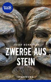 Cover von Zwerge aus Stein