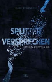 Cover von Splitterversprechen