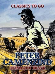 Cover von Peter Camenzind