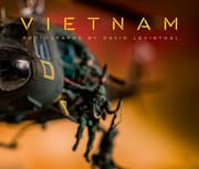 Cover von David Levinthal