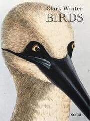 Cover von Birds