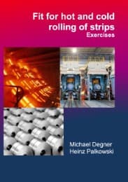 Cover von Fit for hot and cold rolling of strips - Exercises