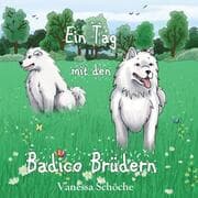 Cover von Ein Tag mit den Badico Brüdern