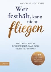 Cover von Wer festhält, kann nicht fliegen