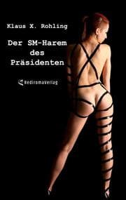 Cover von Der SM-Harem des Präsidenten