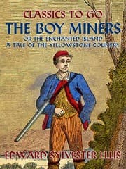 Cover von The Boy Miners, or, The Enchanted Island, A Tale Of the Yellowstone Country